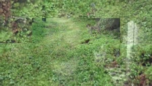 Miniaturansicht - Nikita Kotliar - Zooming out